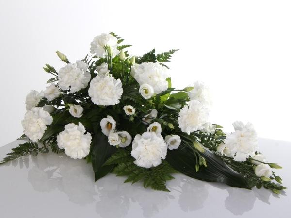 Hautalaite neilikka, valkoinen